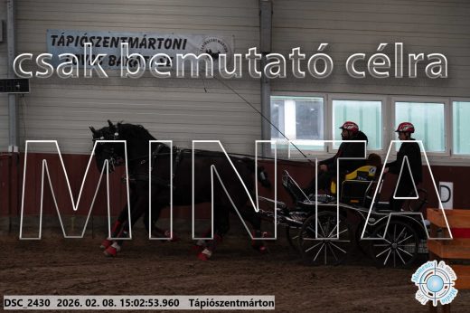 Mintakép 20260208-286