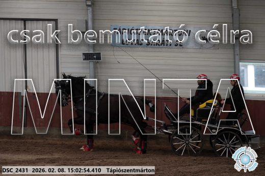 Mintakép 20260208-287