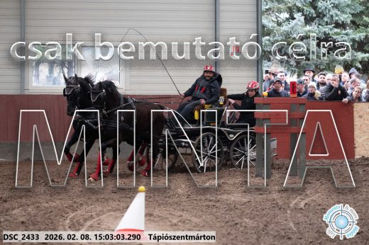 Mintakép 20260208-289