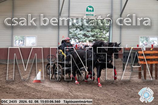 Mintakép 20260208-290