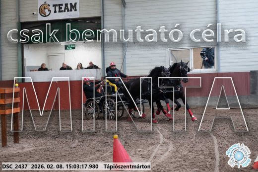 Mintakép 20260208-292