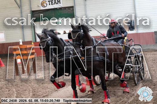 Mintakép 20260208-293