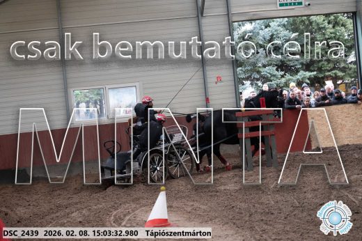 Mintakép 20260208-294