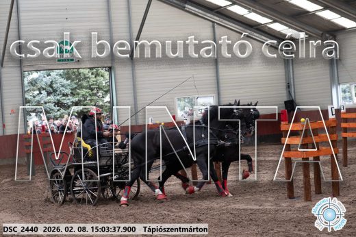 Mintakép 20260208-295