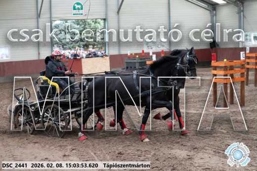 Mintakép 20260208-296