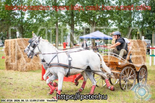 Mintakép 20260613-542
