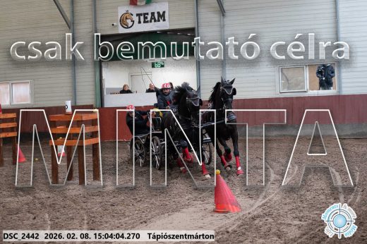 Mintakép 20260208-297