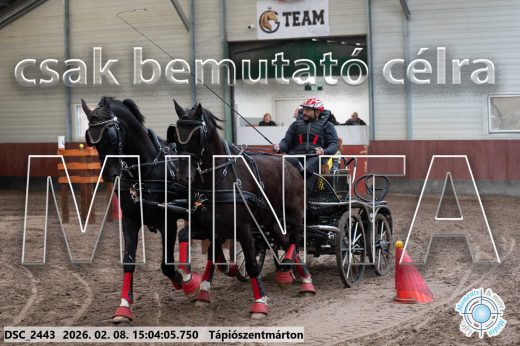 Mintakép 20260208-298