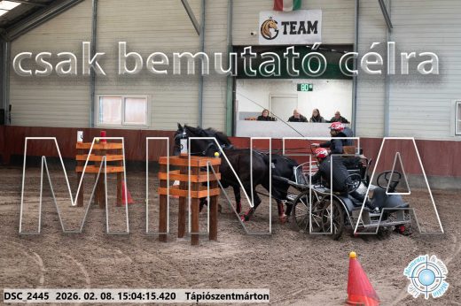 Mintakép 20260208-300