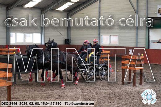 Mintakép 20260208-301