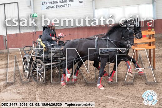 Mintakép 20260208-302