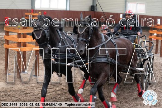 Mintakép 20260208-303