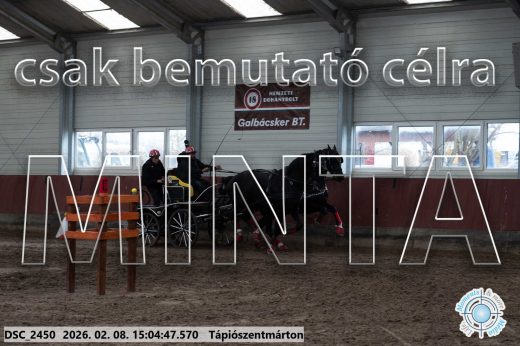 Mintakép 20260208-304