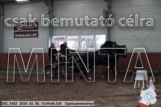 Mintakép 20260208-305