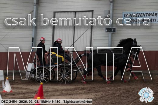 Mintakép 20260208-306
