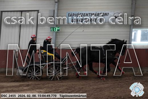 Mintakép 20260208-307