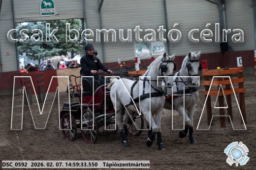 20260207-145933-DSC_0592.jpg
