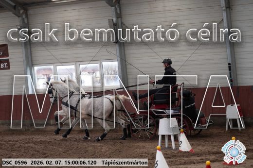 Mintakép 20260207-197