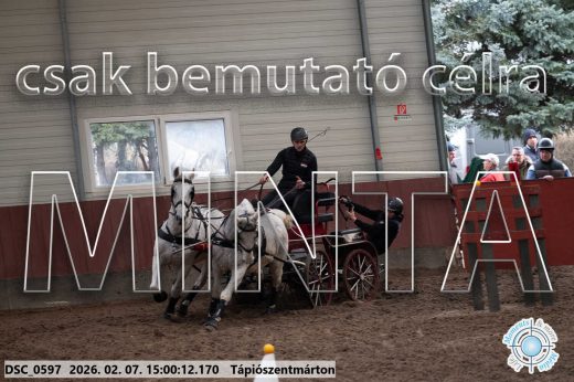 Mintakép 20260207-198
