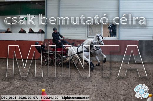 Mintakép 20260207-202