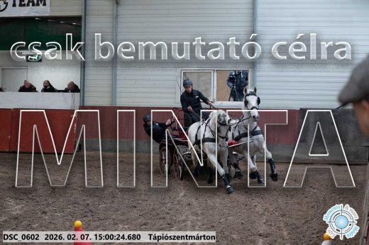 Mintakép 20260207-203