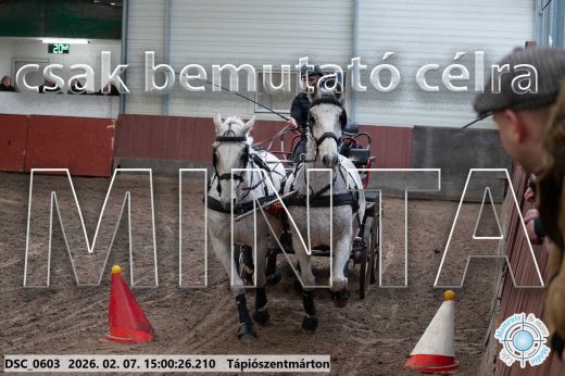Mintakép 20260207-204