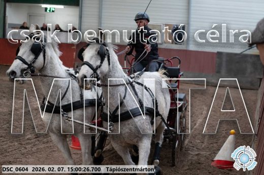 Mintakép 20260207-205
