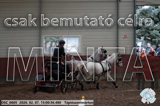 Mintakép 20260207-206
