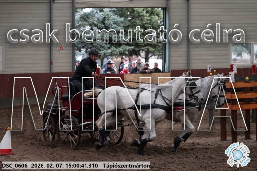 Mintakép 20260207-207