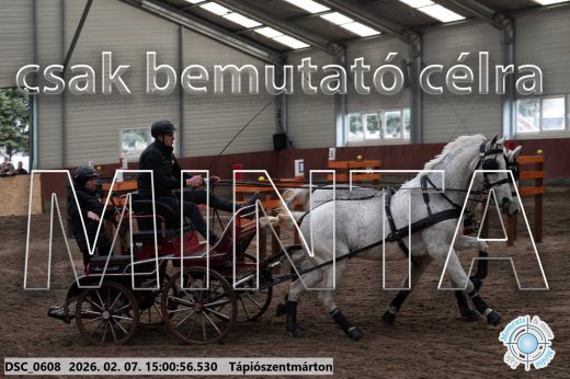 Mintakép 20260207-209