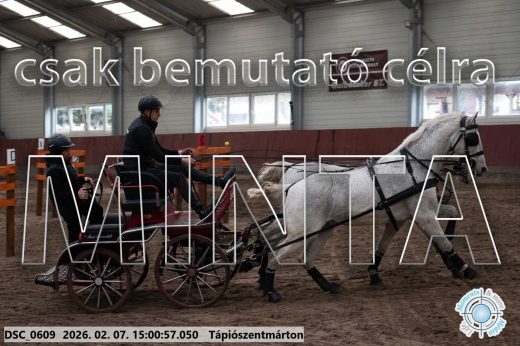 Mintakép 20260207-210