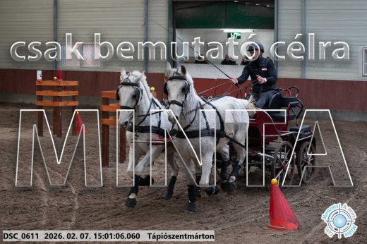 Mintakép 20260207-212