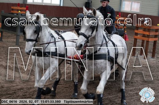 Mintakép 20260207-217