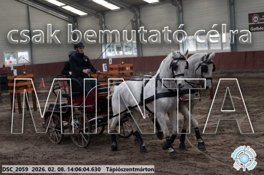 Mintakép 20260208-310