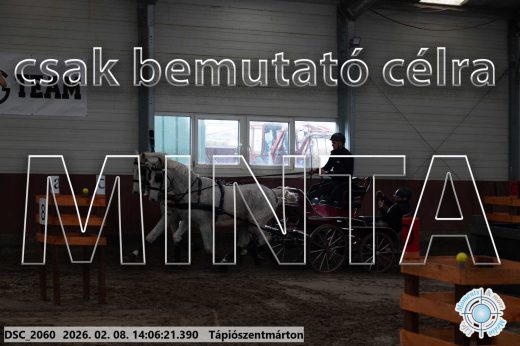 Mintakép 20260208-311