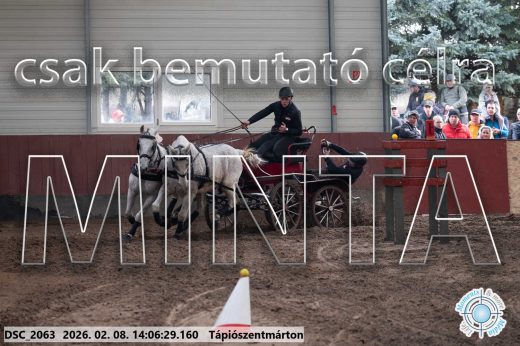 Mintakép 20260208-314