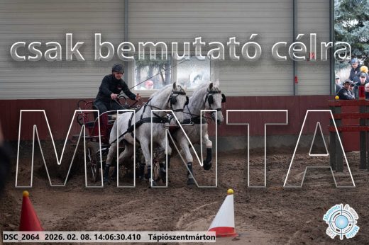 Mintakép 20260208-315