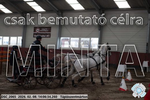 Mintakép 20260208-316
