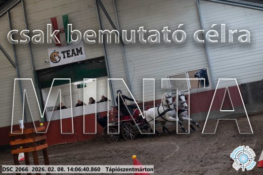 Mintakép 20260208-317