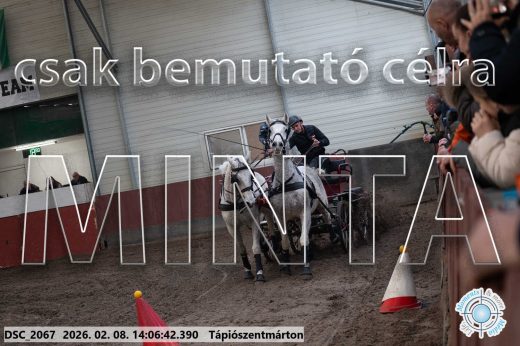 Mintakép 20260208-318