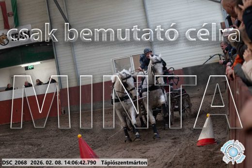 Mintakép 20260208-319