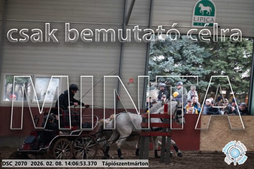 Mintakép 20260208-321