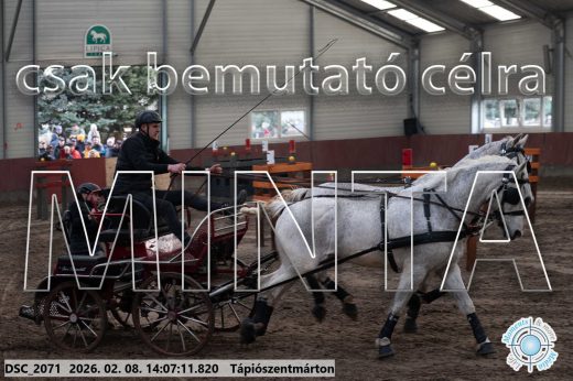 Mintakép 20260208-322