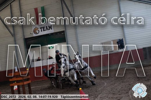 Mintakép 20260208-323