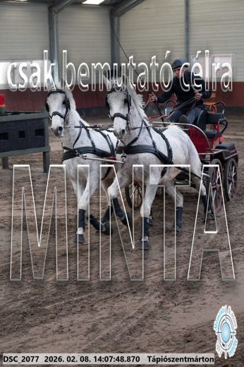Mintakép 20260208-327