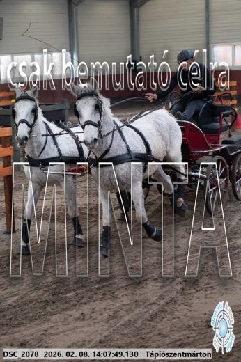 Mintakép 20260208-328