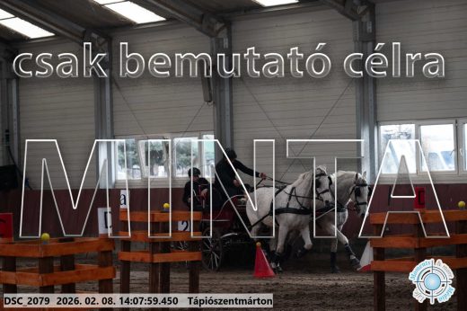 Mintakép 20260208-329