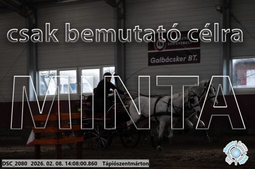 Mintakép 20260208-330