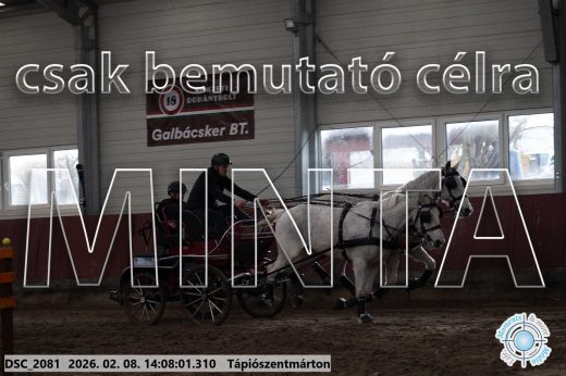 Mintakép 20260208-331