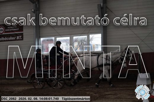 Mintakép 20260208-332
